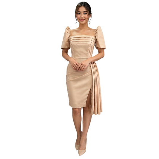 Modern Filipiniana Pencil dress with detachable filipiniana Sleeve