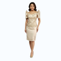 Modern Filipiniana Fitting Mini Dress simple and elegant design